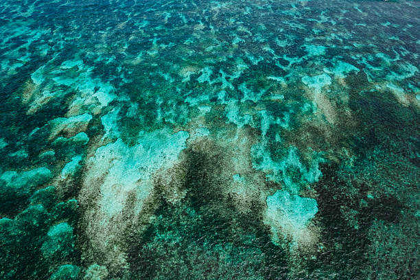 istock Mesmerizing Water Abstract Patterns – A Play of Light, Ripples, and Reflections Creating Stunning, Fluid Art in Nature! 2207710594