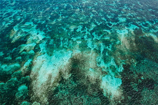 istock Mesmerizing Water Abstract Patterns – A Play of Light, Ripples, and Reflections Creating Stunning, Fluid Art in Nature! 2207710600