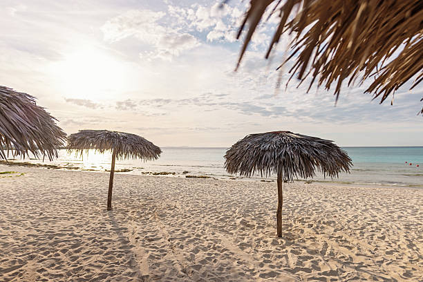 Tranquil view of a sandy beach lined with rustic thatched umbrellas under a serene morning sky by a calm ocean.