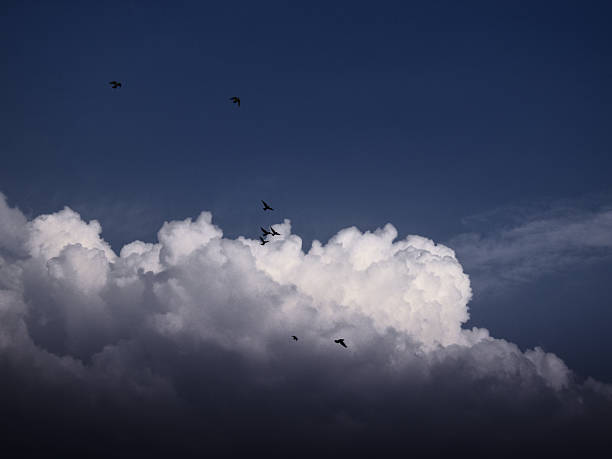 istock Wings Beneath the Stormy Skies 2207711611