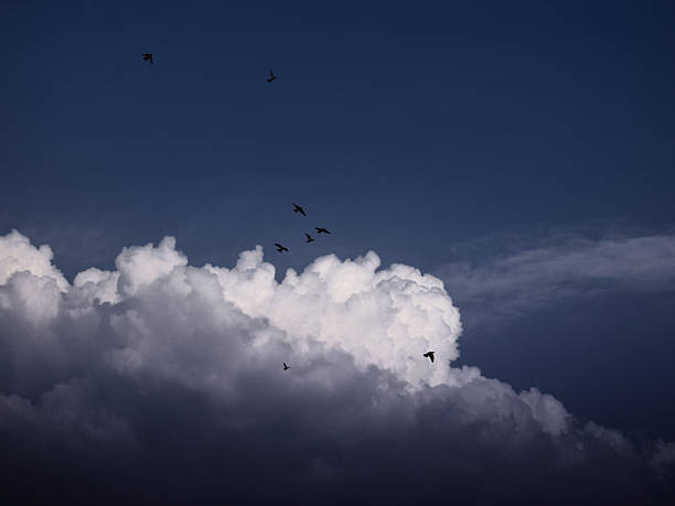 istock Wings Beneath the Stormy Skies 2207711672