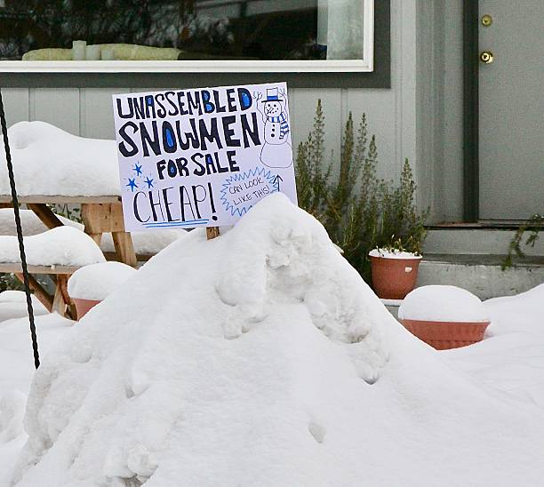 istock Funny Sign For Free Snowman 2207712784