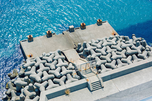 A sunny beach with tetrapods.