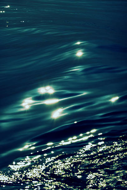 The morning sun reflecting on the sea surface with a sparkle.