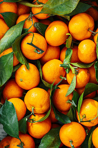 Fresh Tangerines with Green Leaves in Natural Light