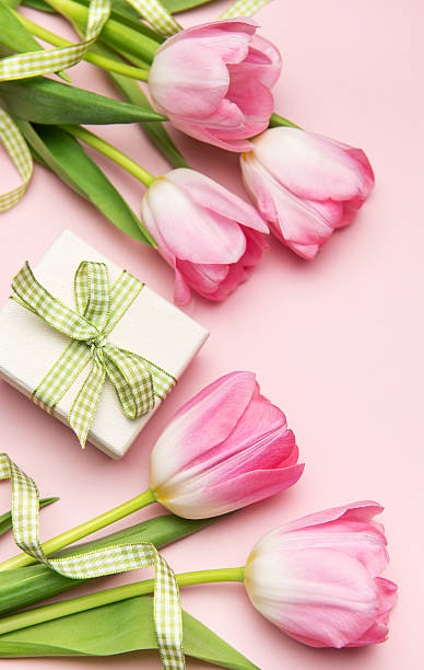 istock Pink tulips and gift box creating a spring themed flat lay on pink background 2207724975