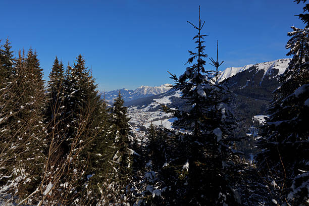 Kleinwalsertal - Winter / Kleinwalsertal - Winter /