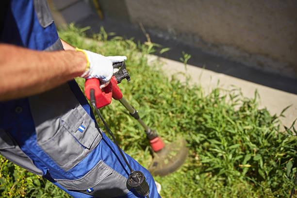 istock Gardener with a grass trimmer cutting overgrown grass and weeds 2207731671