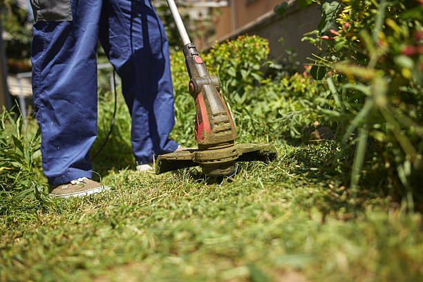 istock Gardener with a grass trimmer cutting overgrown grass and weeds 2207731701