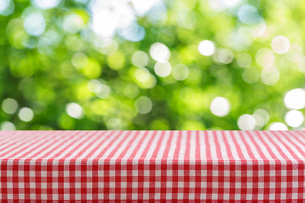 Empty red and white checkered tablecloth for picnic over  green background