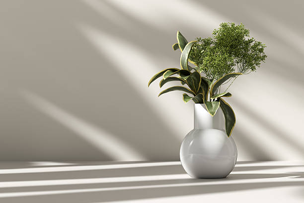 istock Green leaves in a white vase illuminated by sunlight creating shadows on a white wall 2207733841
