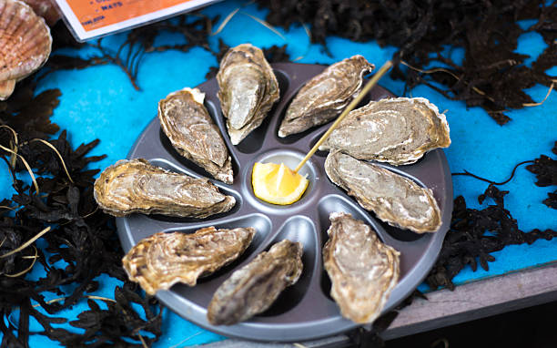 Concale, France – April 11, 2022: Concale is known as the capital city of oyster farming. Here, farmers are transporting bags full of oysters on to their amphibious vehicles.