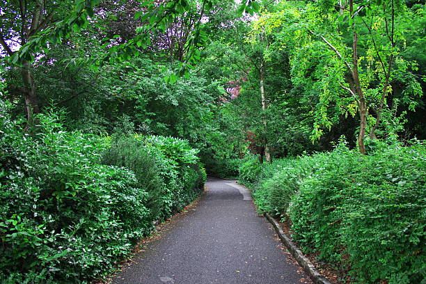 istock Merrion Square Park, Dublin, Ireland 2207734775