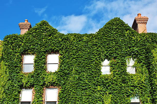 istock The vintage building, Dublin, Ireland 2207734797
