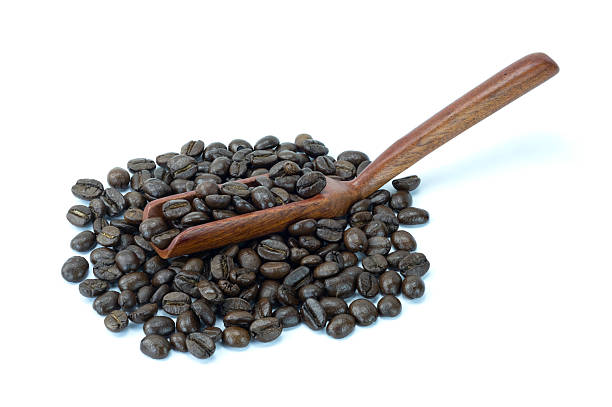 istock Coffee bean is a seed from the Coffea plant and the source for coffee. This fruit is often referred to as a coffee cherry, 2207738620