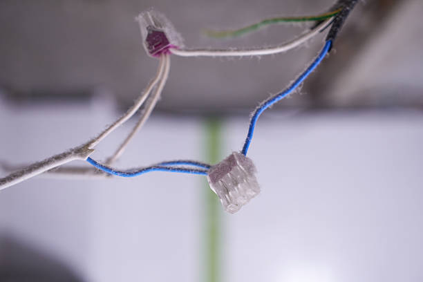 Close-up of an electrical cable with blue and white wires.