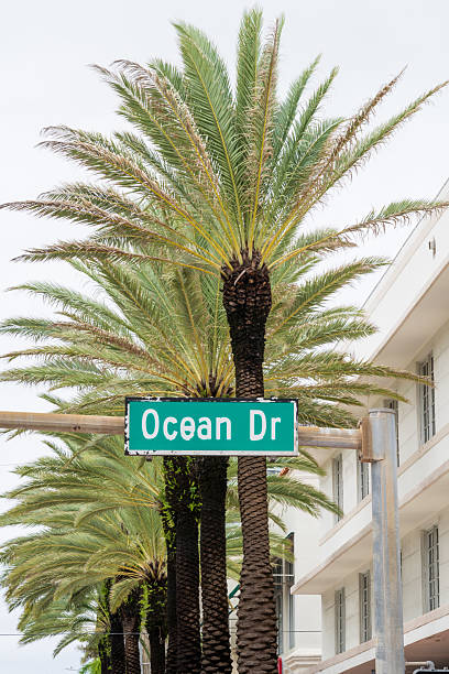istock Ocean Drive, Thoroughfare in Miami Beach, Florida 2207742551