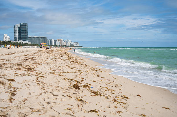 istock Ocean Drive, Thoroughfare in Miami Beach, Florida 2207742742