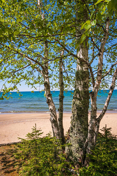 istock Twelvemile Beach at Pictured Rocks National Lakeshore 2207746185