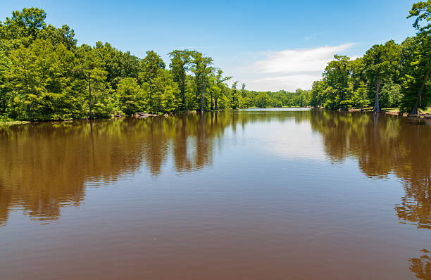 Leroy Percy State Park, Mississippi's Oldest State Park