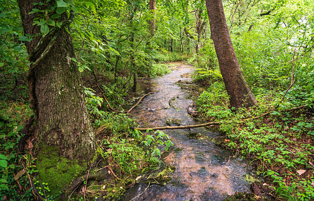 istock River at George Washington Carver National Monument 2207747687