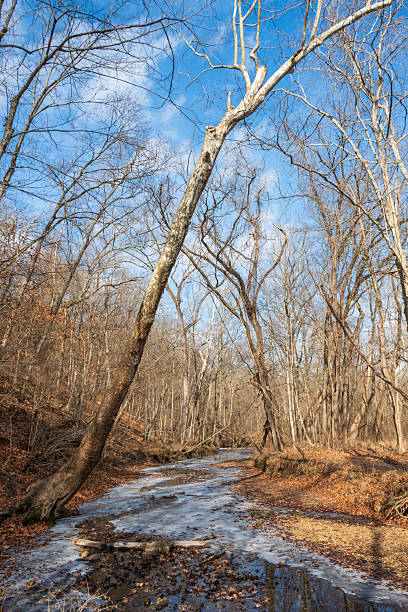 istock Icy River at Rock Bridge Memorial State Park, Missouri 2207749115