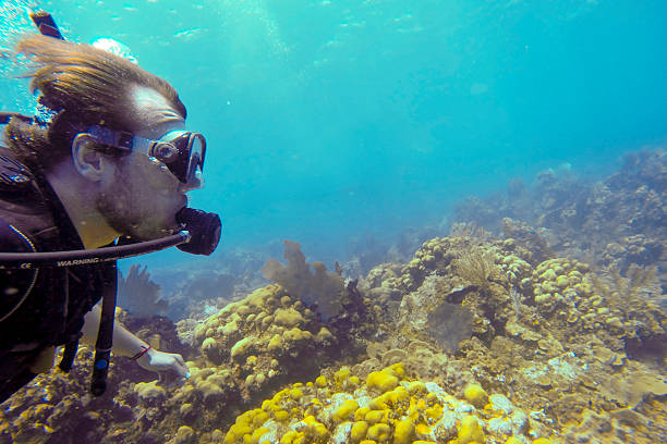 A diver swims through vibrant coral reefs, observing marine life in clear blue waters. Sunlight filters through the surface, illuminating colorful corals and underwater flora during midday.