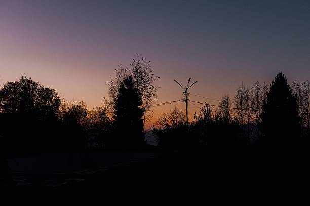 Silhouette of trees and a streetlight against a colorful sunset sky, creating a serene and tranquil scene.