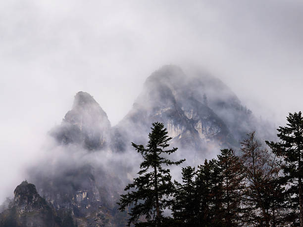 Misty mountain peaks partially obscured by fog, with evergreen trees in the foreground.
