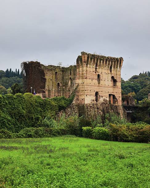A hillside with a castle on top of it. The castle is old and has a lot of stone. The hillside is covered in grass and trees. The castle is surrounded by a wall