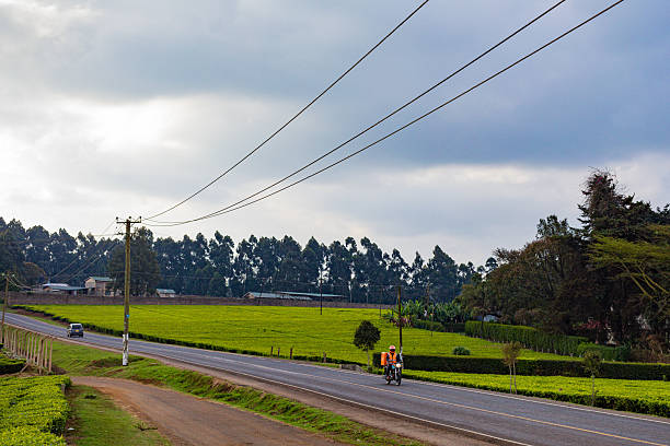 Kiambu county central province Kenya East Africa large scale tea farm farming leaves dramatc clouds field meadows