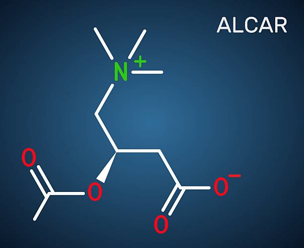 Acetyl-L-carnitine Combat Creatine