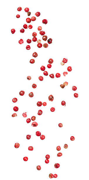 istock A collection of pink peppercorns arranged in a curved pattern on isolated background. Aromatic berries have a mild 2207771450