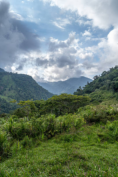 istock Sierra Nevada, Lost City Trek 2207773775