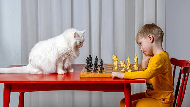 istock The boy plays chess, and the curious observer is his white cat 2207774101