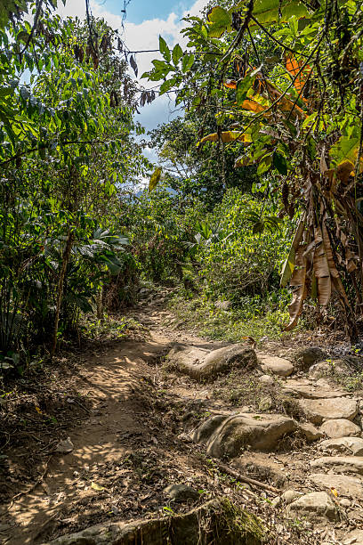 istock Sierra Nevada, Lost City Trek 2207776860