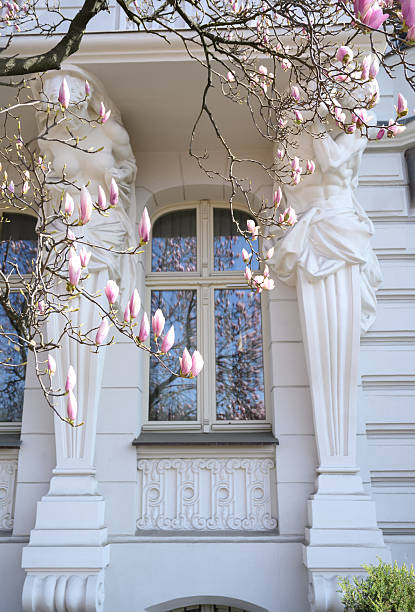 pink magnolia flowers bloom in front of a historic European building. The soft pastel colors and intricate architectural details create a romantic springtime atmosphere.