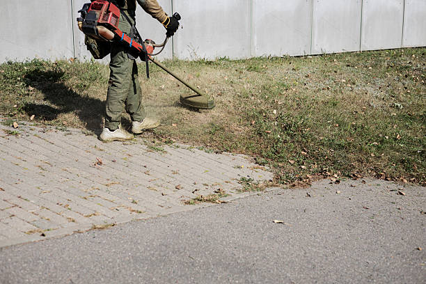 istock worker mowing tall grass with lawn trimmer in city park or back 2207784791