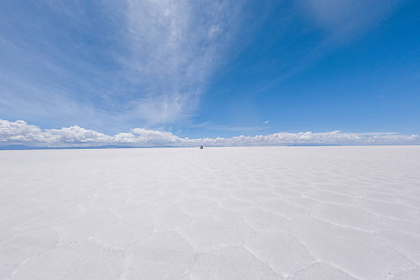 Endless white salt flats stretching into the horizon. Cloud-dotted blue sky above a serene landscape. Tranquil and natural scene of wide-open spaces.