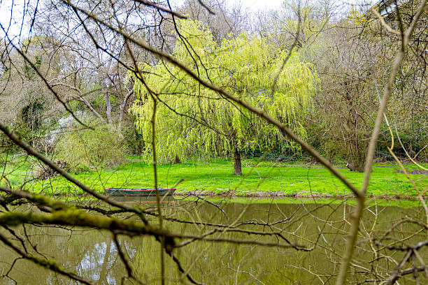 Wild nature fields and rivers in France