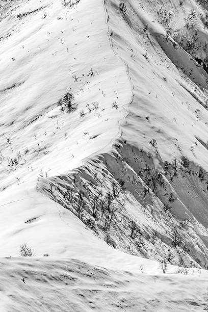 istock Black and white landscape after snowstorm 2207797008