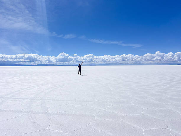 istock Person Standing in Vast White Salt Flat Under Bright Blue Sky 2207797986