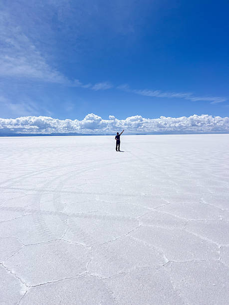 istock Person Standing in Vast White Salt Flat Under Bright Blue Sky 2207797990