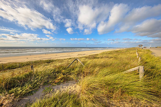 istock View on beach from Boulevard Barnaart Zandvoort 2207803151
