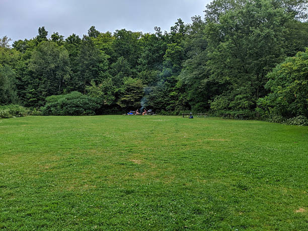 istock Peaceful Green Grass with Outdoor Gathering Space Beside a Forest 2207806453