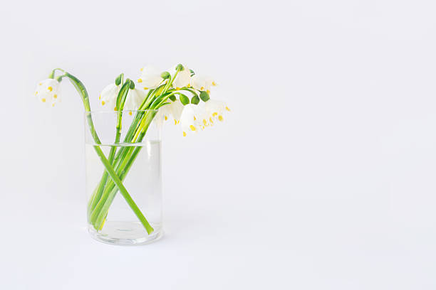 First spring flowers bouquet, spring bells in glass
