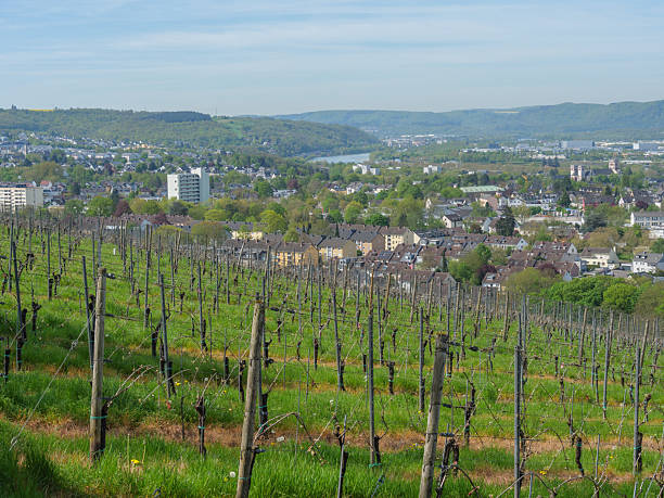 istock Wanderung auf den Petrisberg in Trier an der Mosel 2207811091