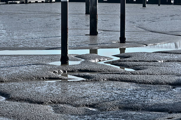 istock WORLD OF WATER 2207813775