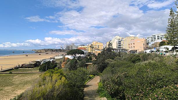 istock Green Patch Between the City and the Beach 2207818231