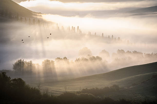 istock Misty Tuscan Morning with Sunrays - Tuscany Italy. 2207820848